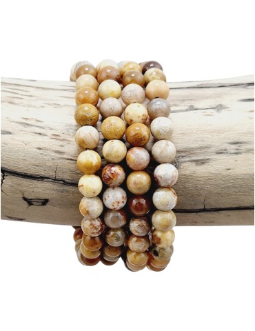 Bracelet corail fossile perles AA