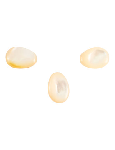 Pendentifs percés travers Nacre lot x3 AA
