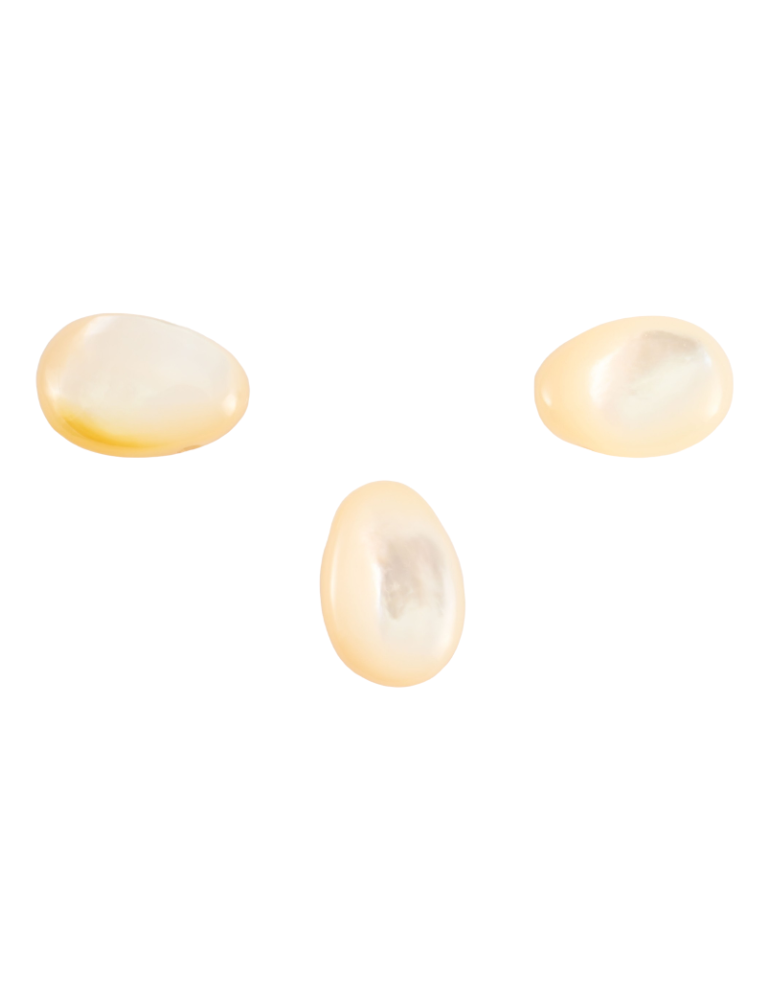 Pendentifs percés travers Nacre lot x3 AA