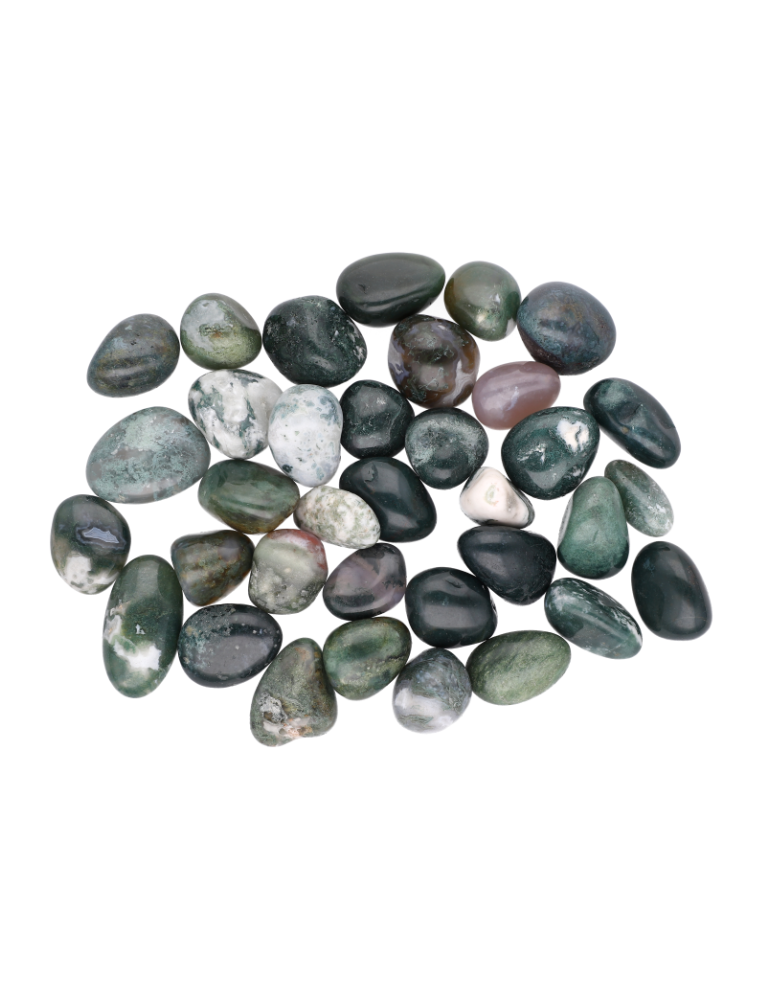 Ágata árbol piedras rodadas A