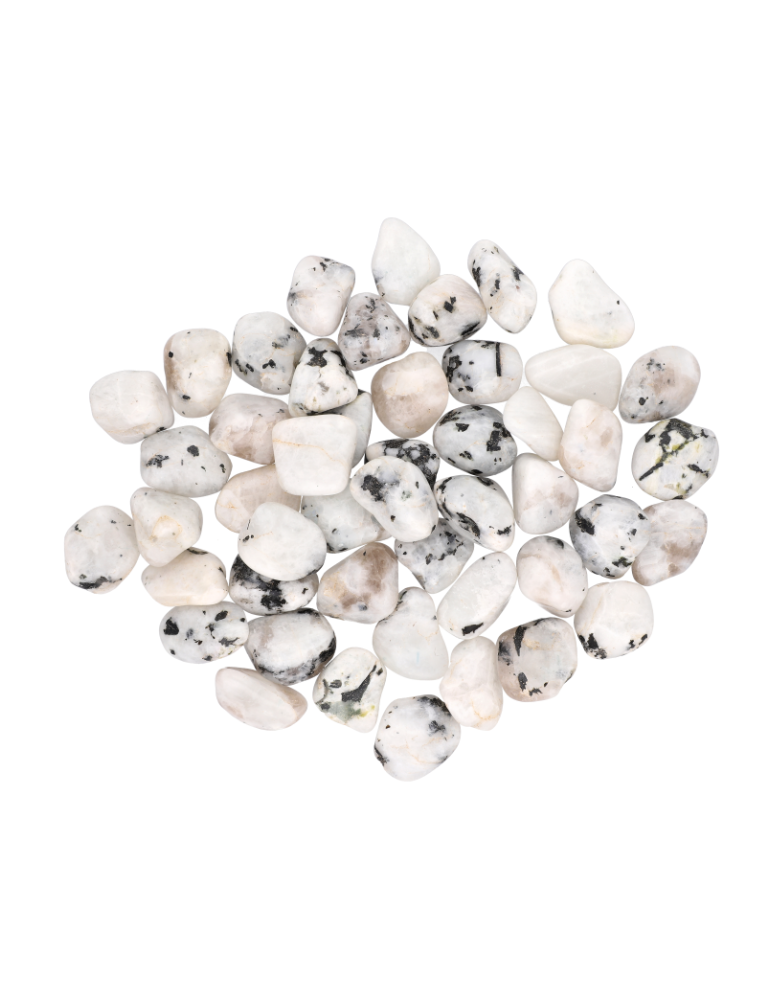 Labradorite blanche pierres roulées A