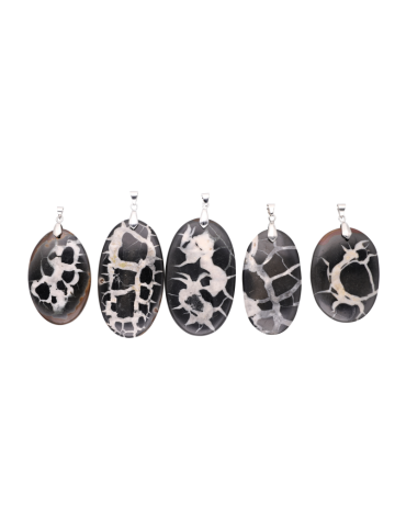 Zwarte septaria hanger A