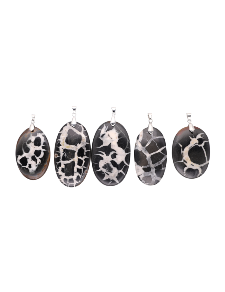 Zwarte septaria hanger A