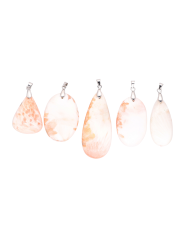 Scoleciet hanger A