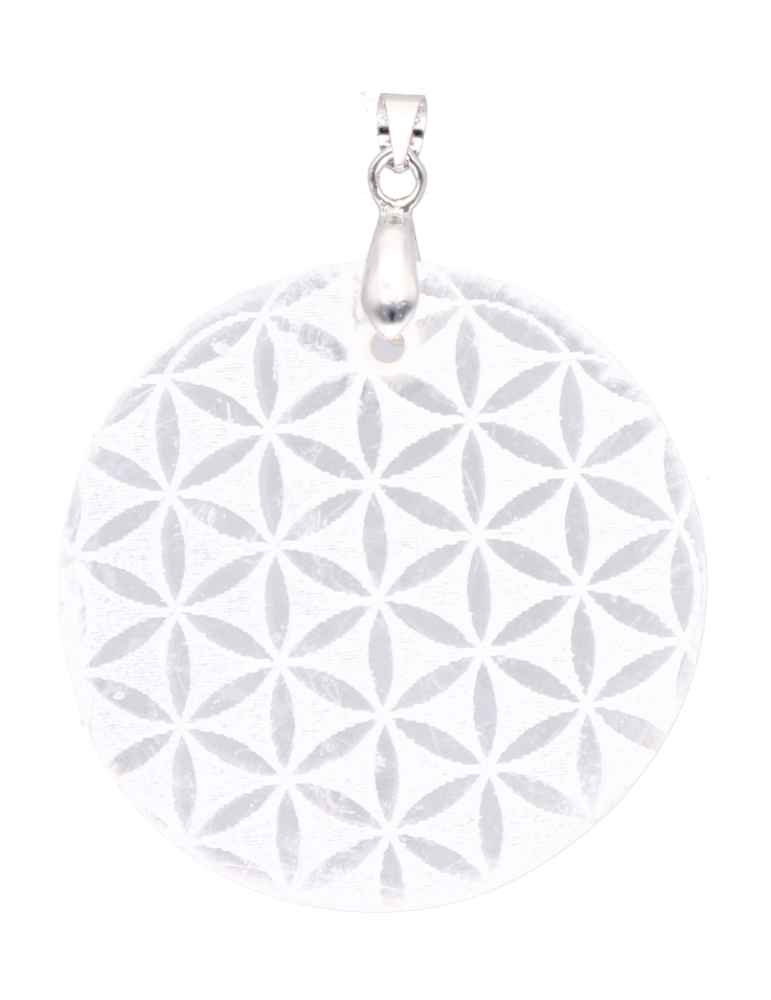 copy of Seleniet hanger A