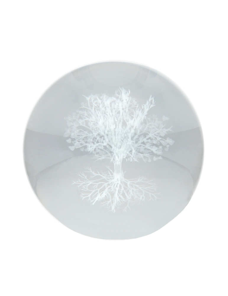 3D sphere tree of life