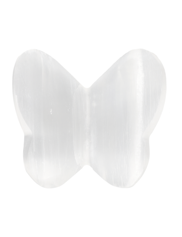 Papillon sélénite