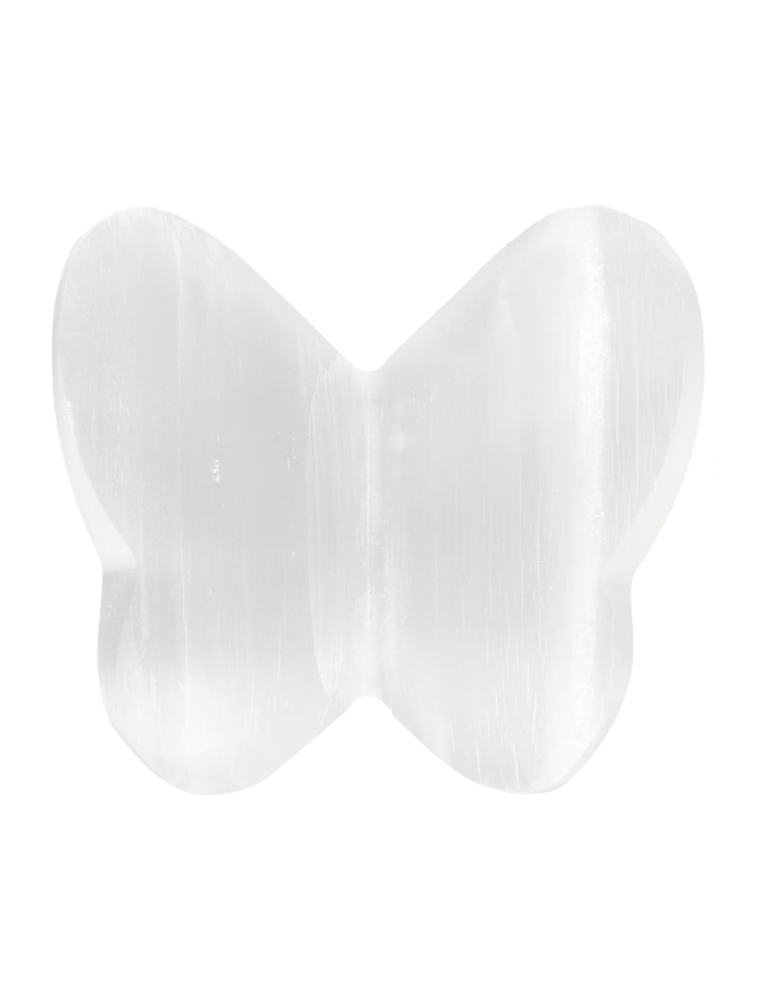Papillon sélénite