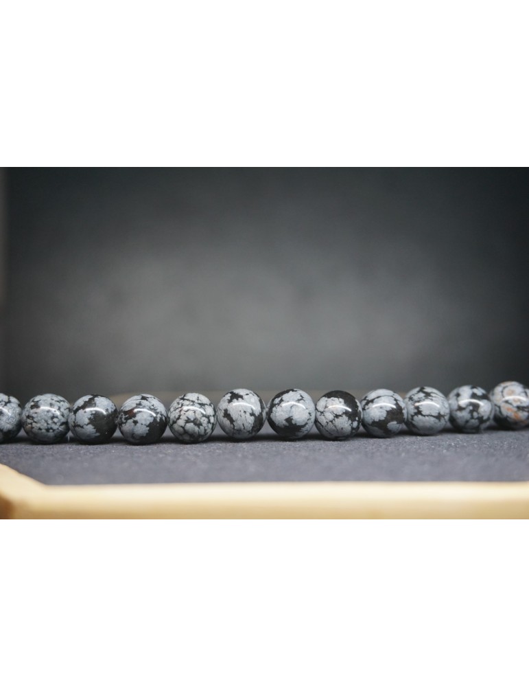 Figlio di Obsidienne Fiocco di Neve