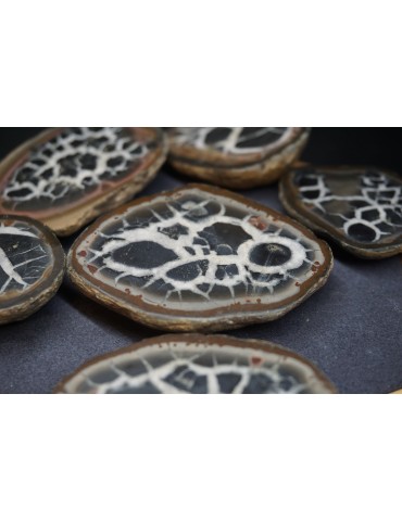 Nodules de Septaria du Maroc