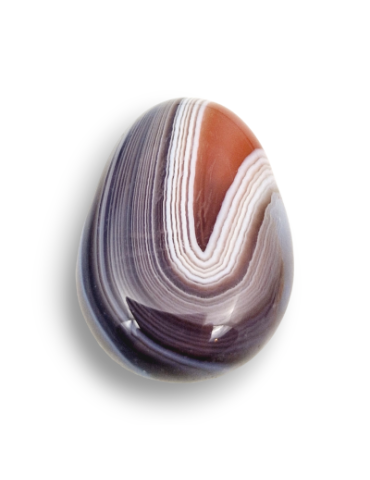 Pendentifs percés travers Agate Botswana lot x5