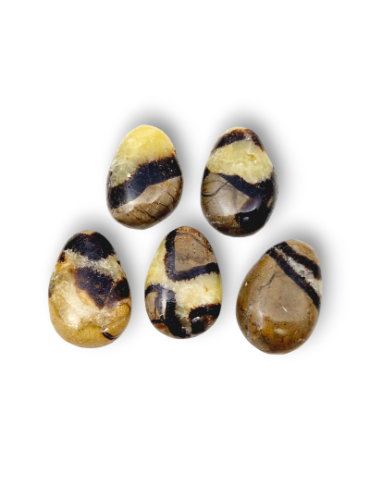 Durchbohrte Anhänger aus gelbem Septaria, 5er-Pack