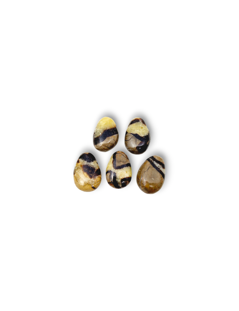 Pendentifs percés travers Septaria jaune lot x5