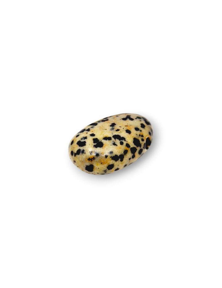 Pendentifs percés travers Jaspe dalmatien lot x5