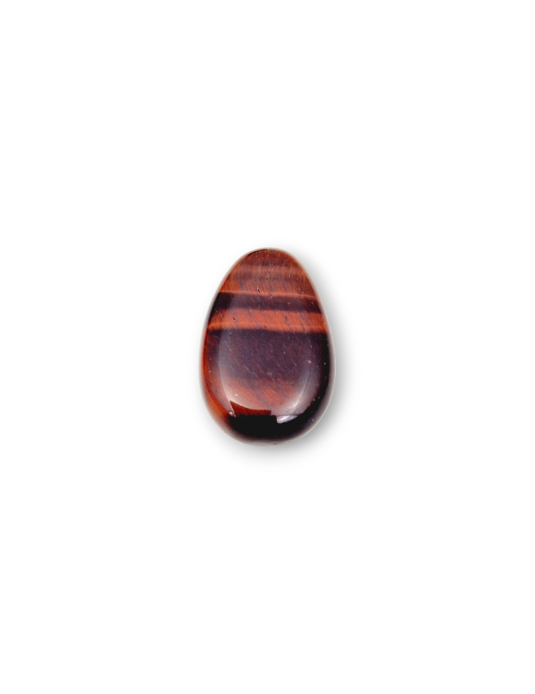 Pendentifs percés travers oeil de taureau lot x5