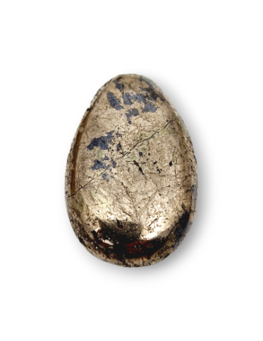 Pendentifs percés travers Pyrite lot x5