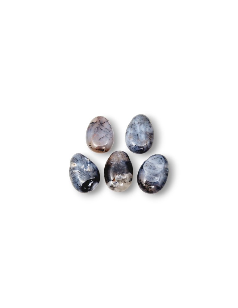 Pendentifs percés travers Agate dendrite lot x5