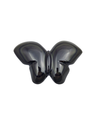 Papillon obsidienne