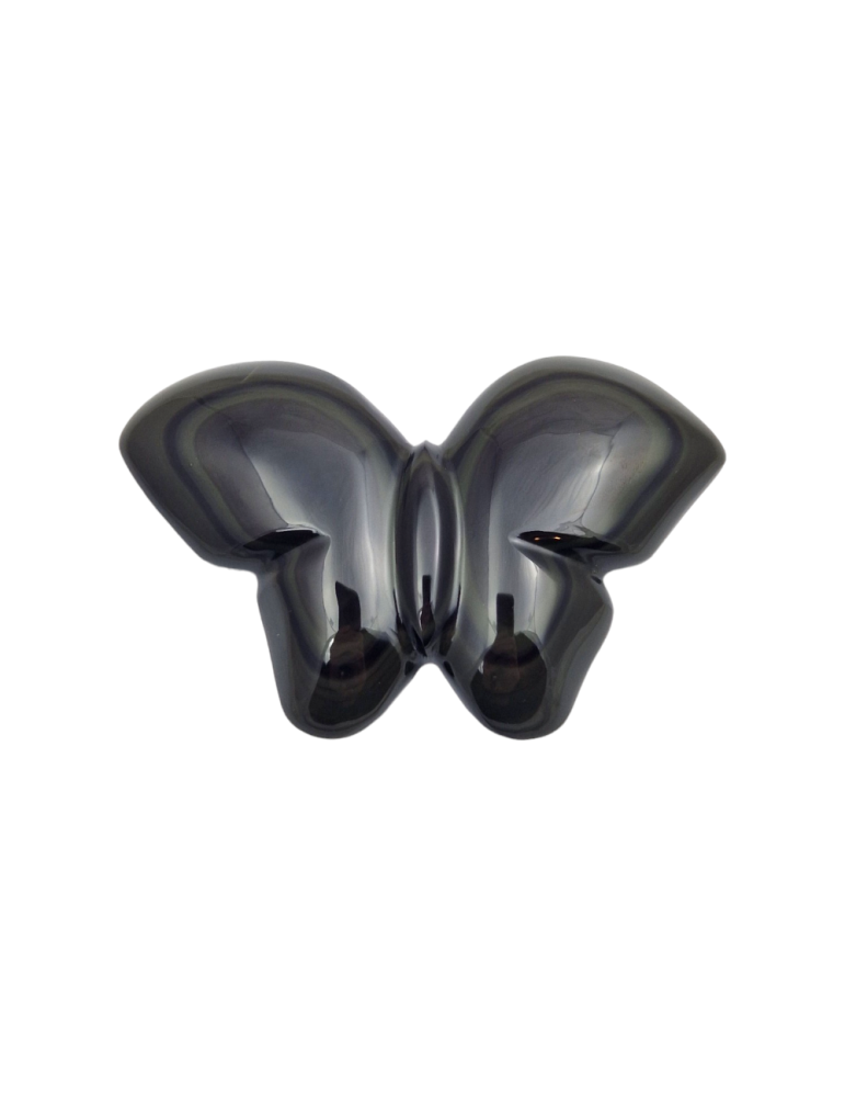 Papillon obsidienne