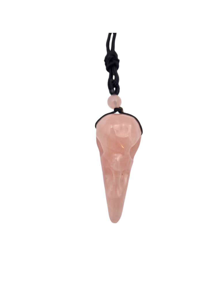 Kraai schedel hanger